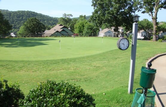IMG 0305 (1)