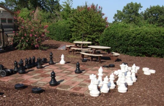 IMG 0324 (2) (1)